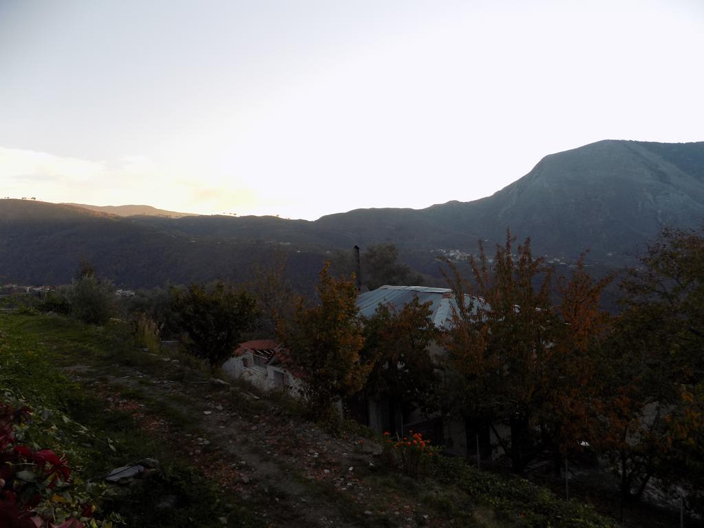 Alagonia Country Homes Bagian luar foto