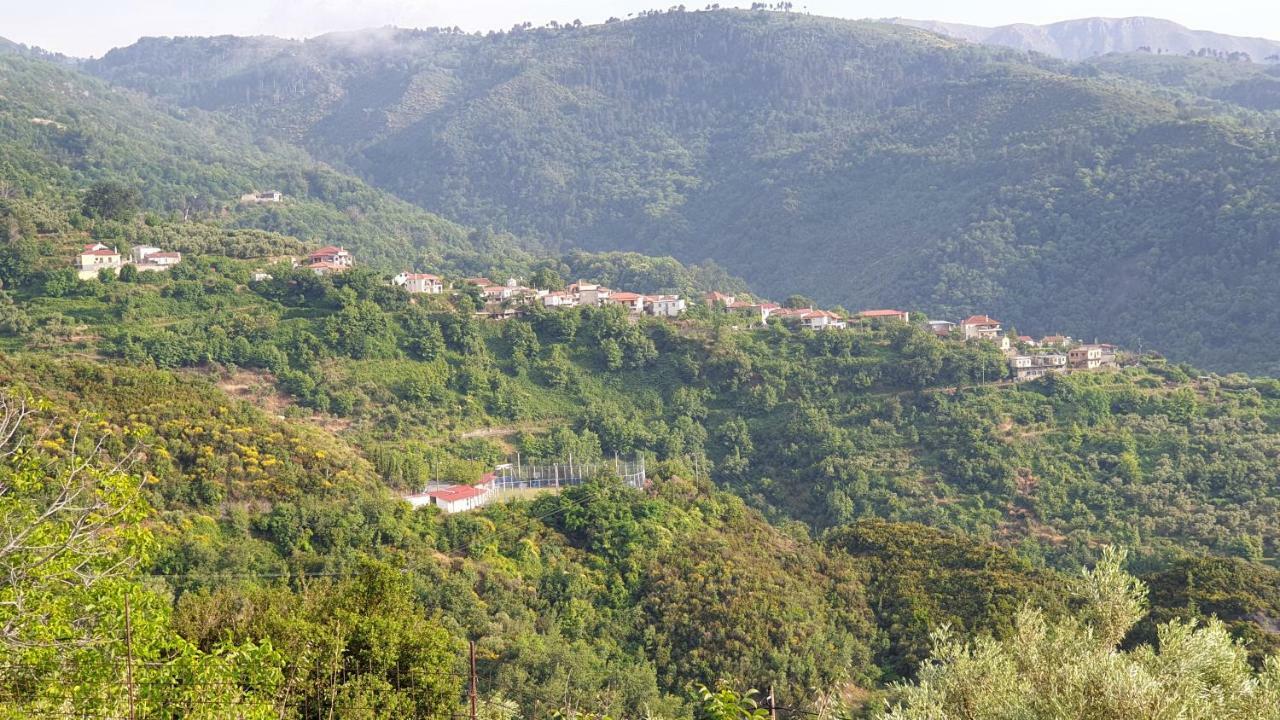 Alagonia Country Homes Bagian luar foto