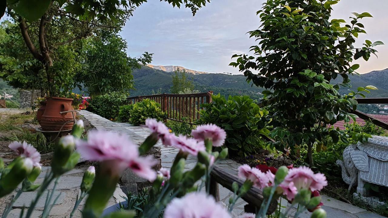 Alagonia Country Homes Bagian luar foto