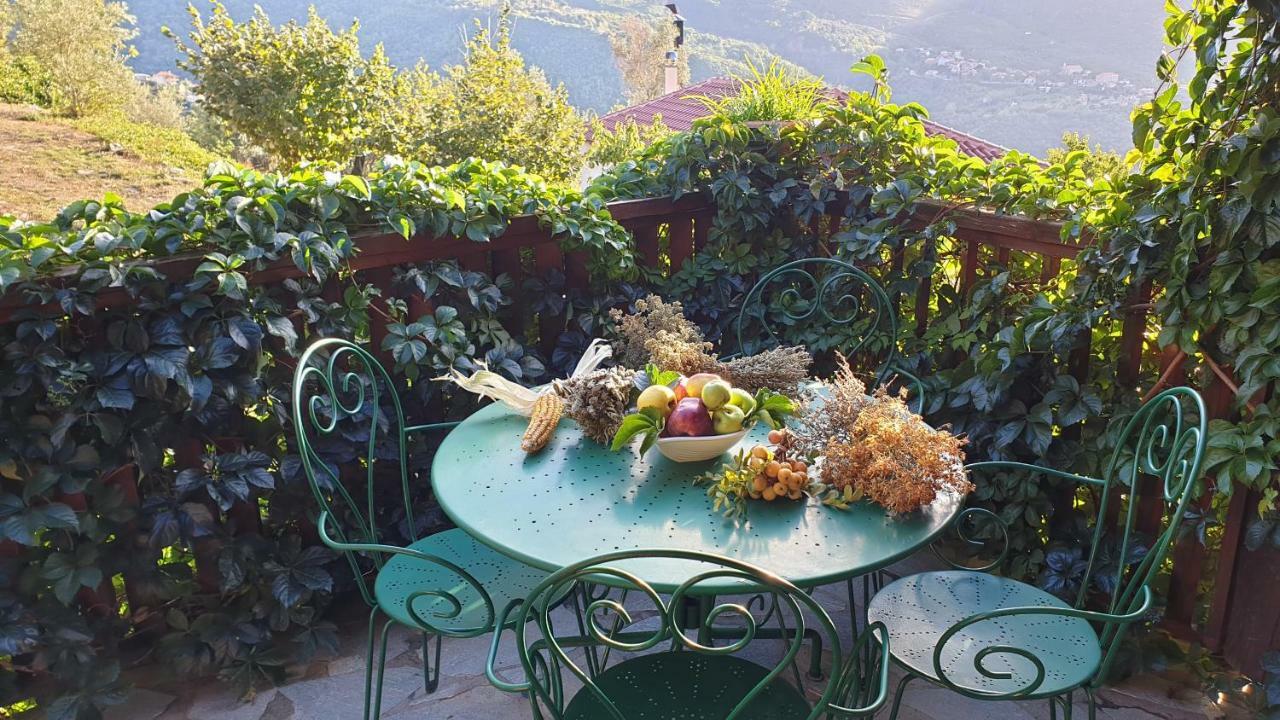 Alagonia Country Homes Bagian luar foto