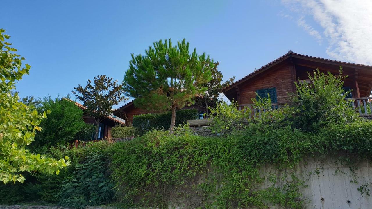 Alagonia Country Homes Bagian luar foto