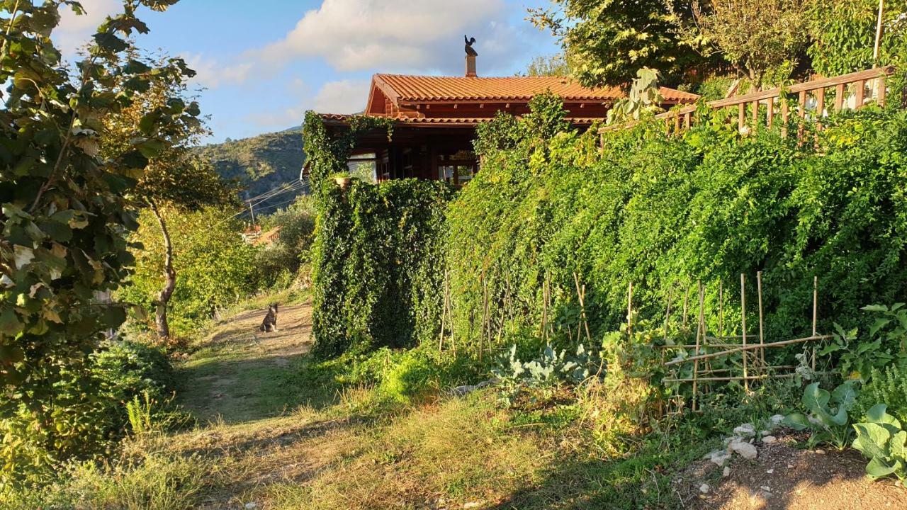 Alagonia Country Homes Bagian luar foto