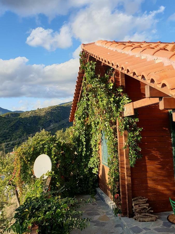 Alagonia Country Homes Bagian luar foto